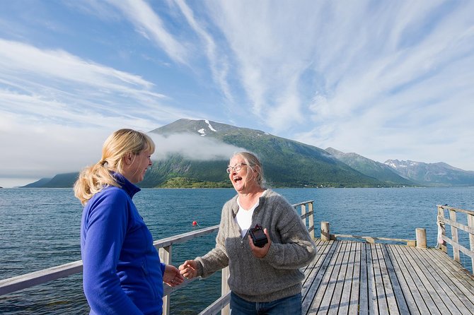 Summer Fjord Road Trip with Citizen Science with Wandering Owl - Kvaløya and Whale Island: the fjord views you’re really here for