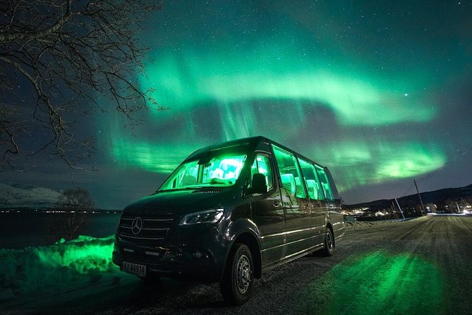 Symphony - Arctic Breeze, teamining up with nature. - Group size: why max 19 travelers can feel like more freedom
