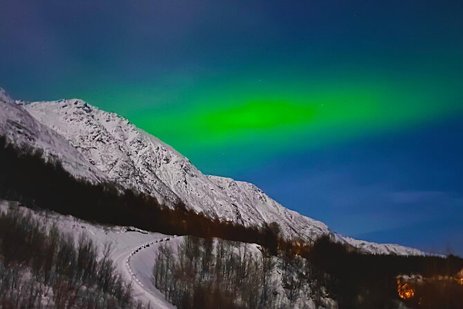 The Aurora Tour - small group, northern lights - Campfire breaks with marshmallows and local snacks