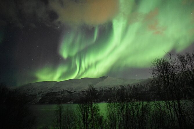 The Aurora Tour - small group, northern lights - Price and value: what $233.58 buys you in Tromsø