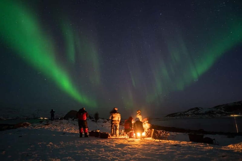 Tromsø: Adult Only Aurora hunt with Citizen Science - Key things I’d watch for before you book