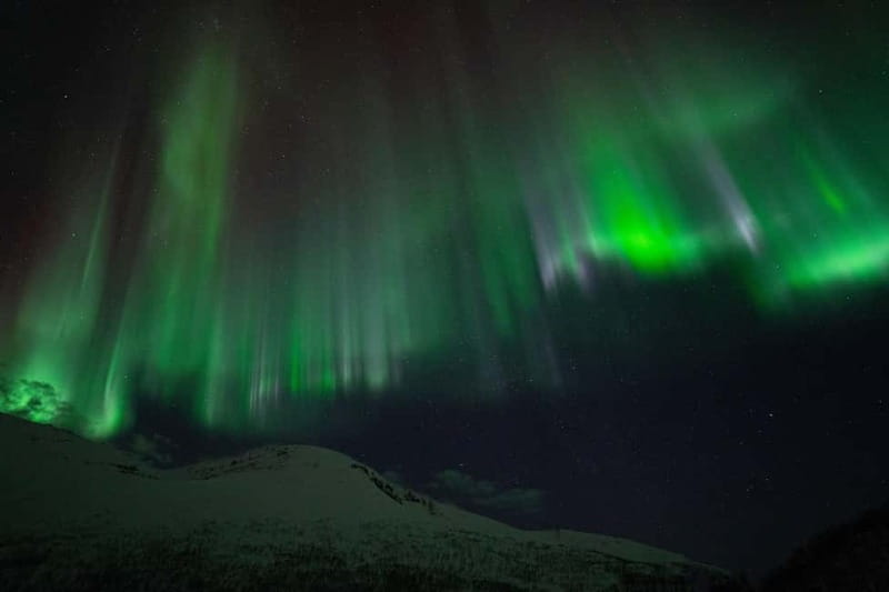Tromsø: Adult Only Aurora hunt with Citizen Science - Who you’re with: Wandering Owl, small-group attention, and guide quality
