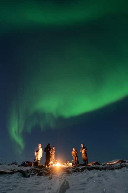 Tromsø: Adult Only Aurora hunt with Citizen Science - Toilets, forest stops, and the walking you can’t ignore