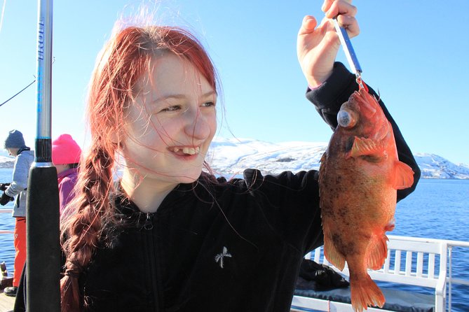Tromsø: Arctic Fjord Cruise & Fishing Experience - Key highlights you can bank on
