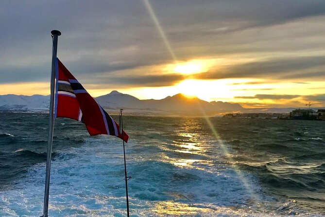 Tromsø: Arctic Fjord Cruise & Fishing Experience - Arctic cod fishing: how the fun works on the water