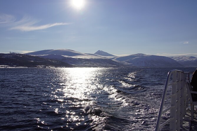 Tromsø: Arctic Fjord Cruise & Fishing Experience - Lunch onboard: fish soup, vegetarian option, and real comfort