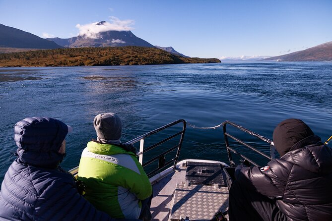 Tromsø: Arctic Fjord Cruise & Fishing Experience - The crew makes it: guides who talk, teach, and keep things moving