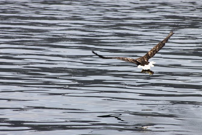 Tromsø: Arctic Fjord Cruise & Fishing Experience - Who should book this Tromsø fjord cruise and fishing?