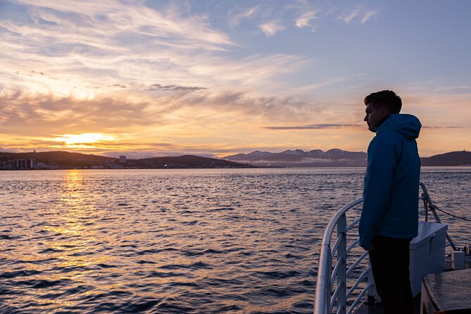 Tromsø: Arctic Fjord Cruise & Fishing Experience - Price and value: what $156.08 covers and why it works