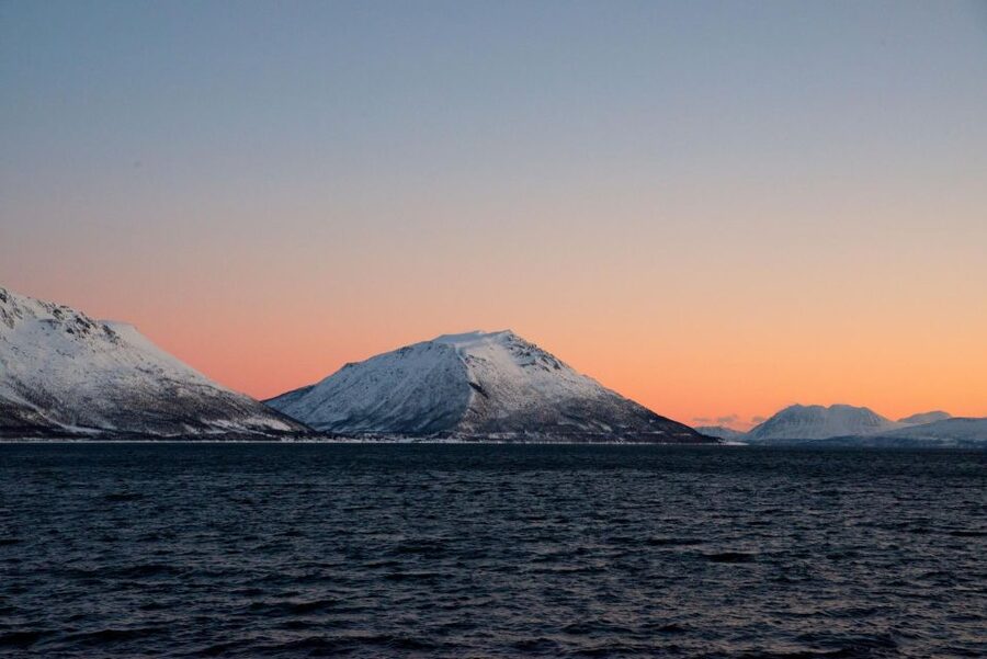 Tromsø: Arctic Fjord Cruise in Polar Landscapes - Key things I think you’ll notice fast