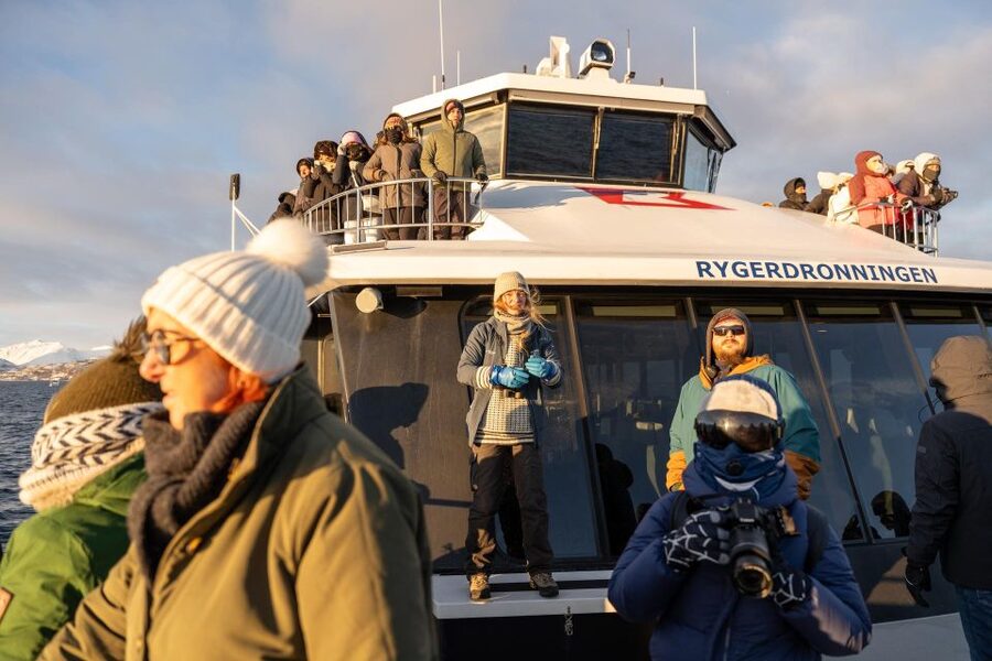 Tromsø: Arctic Fjord Cruise in Polar Landscapes - Wildlife Chances Along the Shores: Sea Eagles, Seals, Foxes, and Reindeer