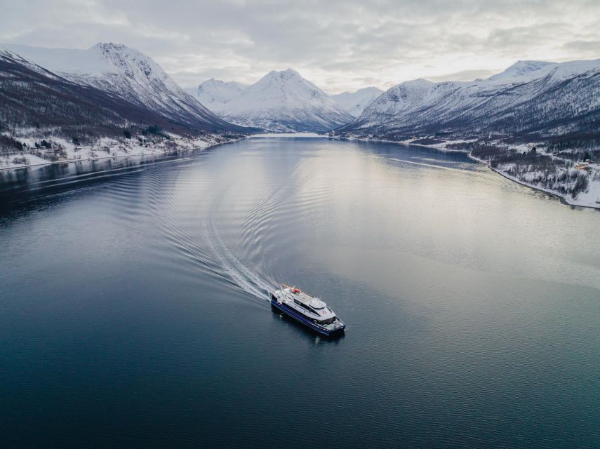 Tromsø: Arctic Fjord Cruise in Polar Landscapes - When the Fjord Freezes: Ice, Route Changes, and the Captain’s Call