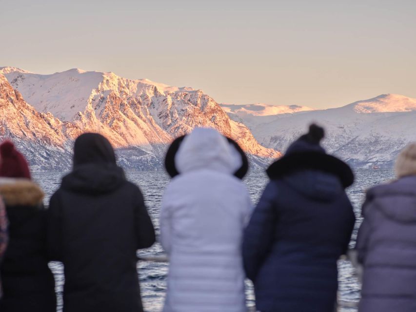 Tromsø: Arctic Fjord Cruise in Polar Landscapes - Included Comforts and What Costs Extra