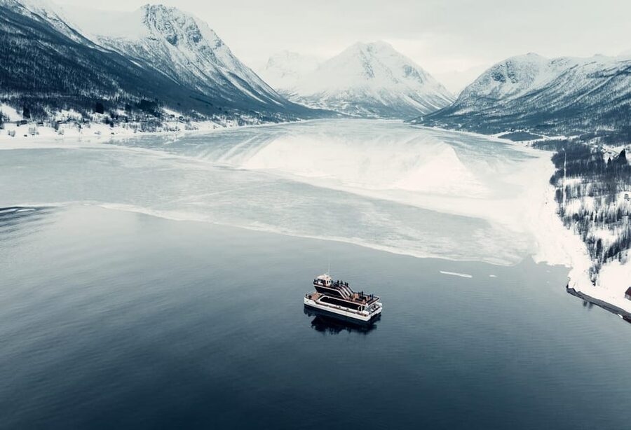 Tromsø: Arctic Fjord Cruise With Stop On Land At Fish Racks - Key things I’d plan around before you go