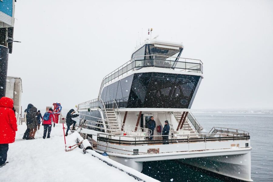 Tromsø: Arctic Fjord Cruise With Stop On Land At Fish Racks - Wildlife viewing moments between photo stops