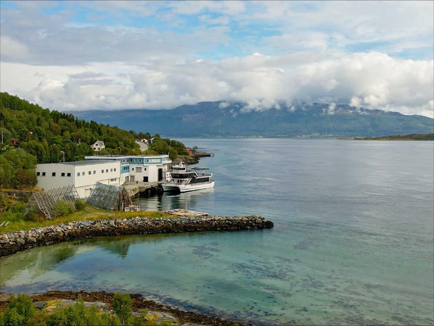 Tromsø: Arctic Fjord Cruise With Stop On Land At Fish Racks - Rystraumen and Rya: the stops that mix views with local flavor