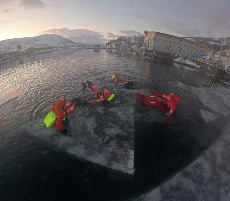 Tromsø: Arctic Fjord Floating in Survival Suit - Arctic Fjord Floating in Tromsø: What the Experience Really Feels Like