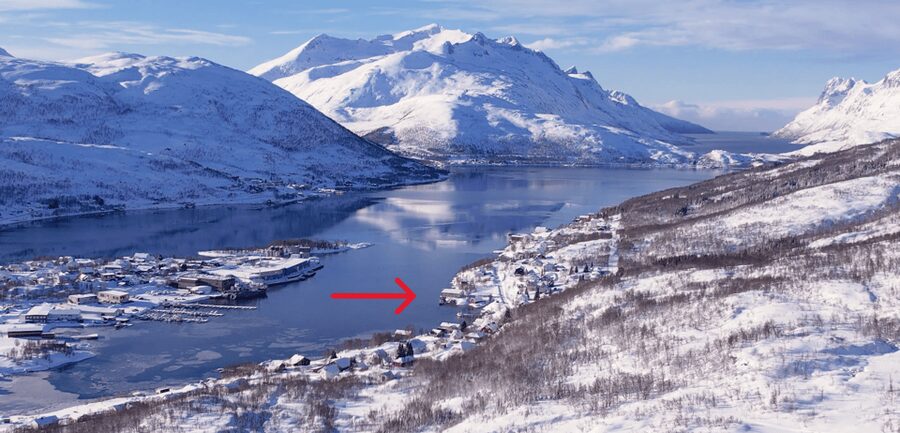 Tromsø: Arctic Fjord Floating in Survival Suit - Price and Value: Is $230 Worth It?