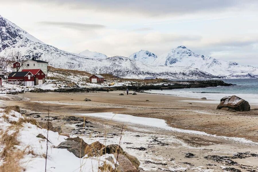 Tromsø: Arctic Landscape and Fjord Tour with Snacks - Key Highlights You Should Know