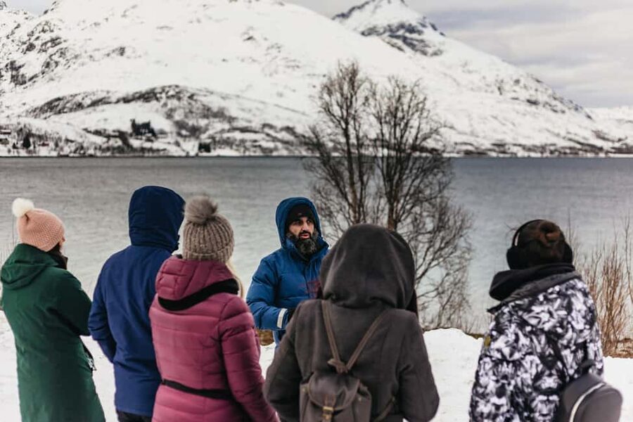 Tromsø: Arctic Landscape and Fjord Tour with Snacks - Who Should Book This Tour (And Who Might Skip It)