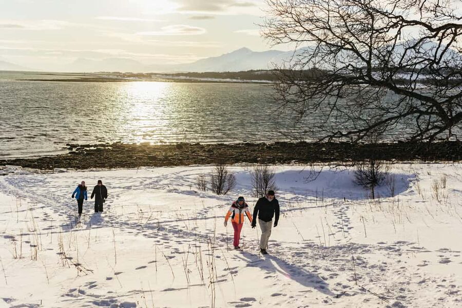 Tromsø: Arctic Landscape and Fjord Tour with Snacks - Price and Value: What You Get for $132