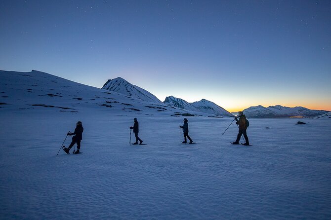 Tromsø: Arctic Landscapes Hiking / Snowshoeing Tour in the wild - The 4x4 Toyota Land Cruiser Fjord Drive (Why It Matters)