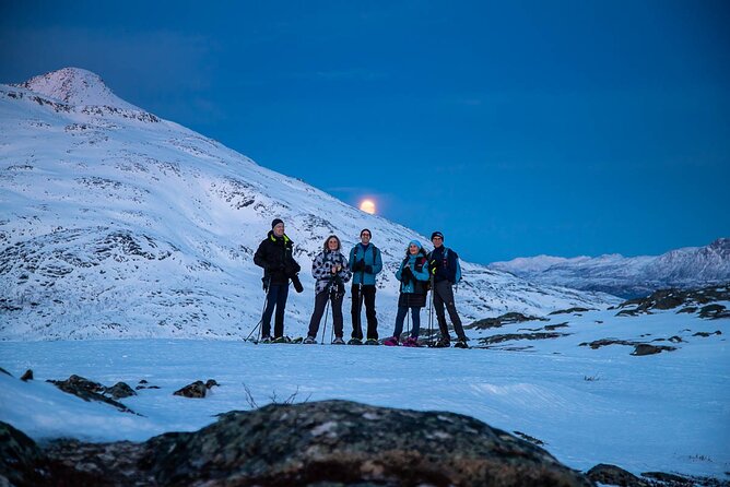 Tromsø: Arctic Landscapes Hiking / Snowshoeing Tour in the wild - The Human Factor: Guide and Photographer Working Together