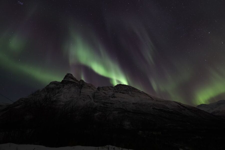 Tromsø: Aurora Borealis, Campfire, Hot Meal, Arctic Tour - Should you book this Tromsø Aurora Borealis campfire tour?
