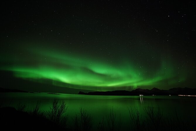 Tromso Aurora Chase by Minibus with Thermal Suit, Snack and Photo - Price and Value: What $189.25 Buys You