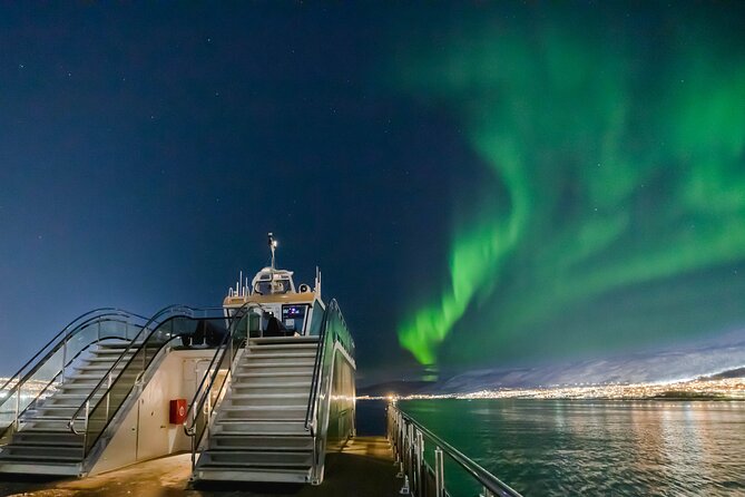 Tromso Aurora Cruise with 3-Course Dinner - Quick take: what’s especially good here