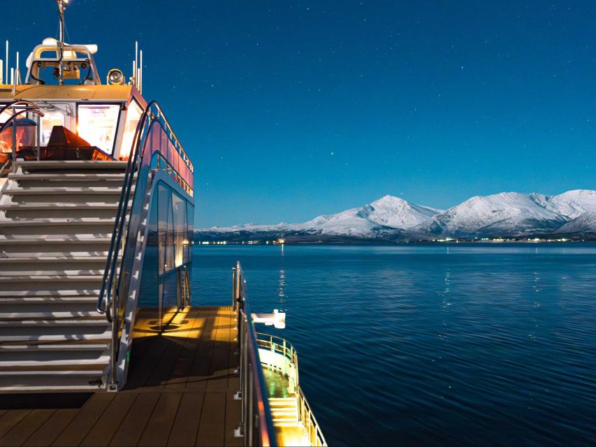 Tromsø: Aurora Dinner Cruise by Hybrid-Electric Catamaran - Key things to know before you go