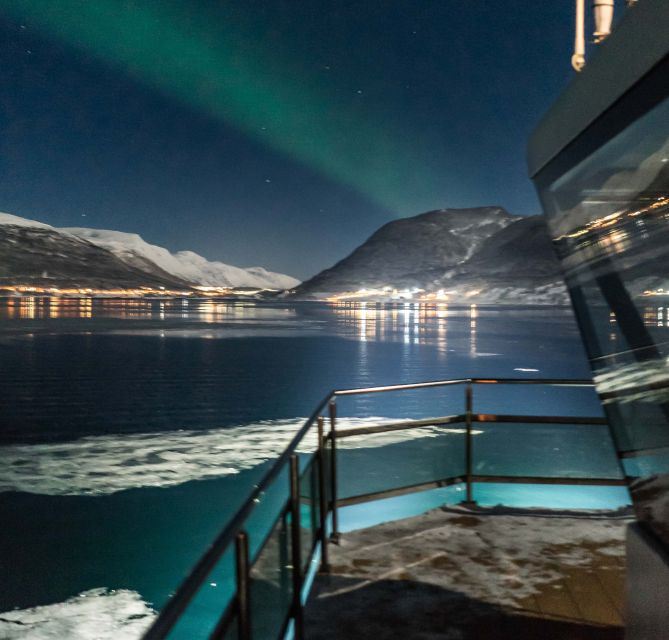 Tromsø: Aurora Dinner Cruise by Hybrid-Electric Catamaran - The Nordic arctic dinner: what’s included and what to watch for