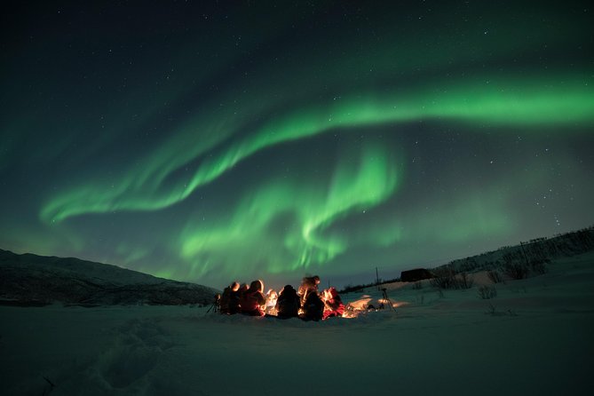 Tromso Aurora Hunt with Bonfire, Soup, Winter Gear & Transfers - Tromsø at Night: what this Aurora hunt feels like