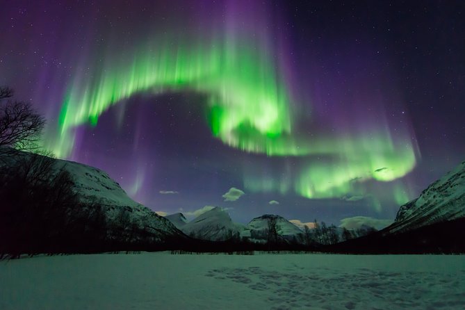 Tromso Aurora Hunt with Bonfire, Soup, Winter Gear & Transfers - Stop in Tromsø: the start of your night plan