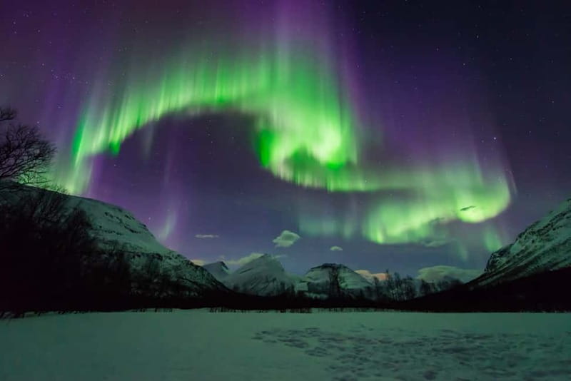 Tromsø: Aurora Hunt with Citizen Science - Key things to know before you go