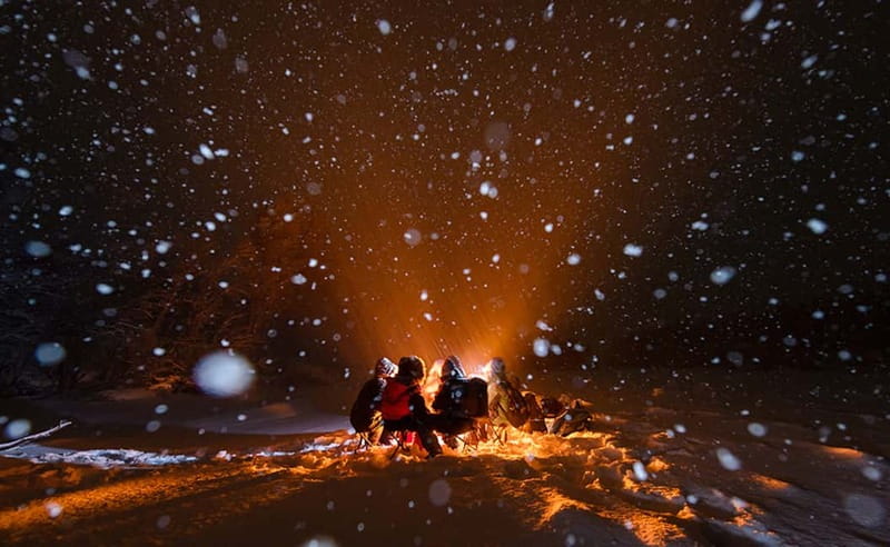 Tromsø: Aurora Hunt with Citizen Science - Citizen science: what you’re contributing in the Arctic