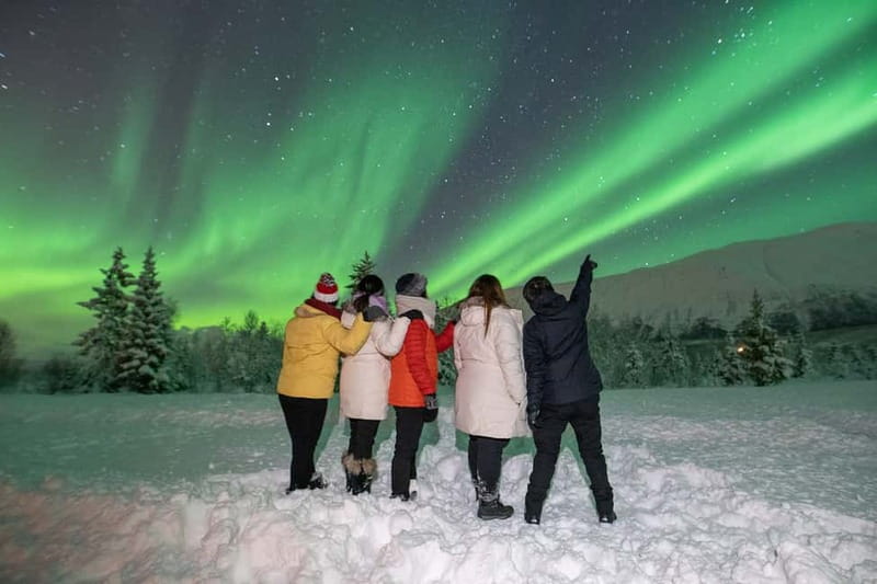 Tromsø: Aurora Safari Chase by big bus with Camp meal - Quick hits before you go