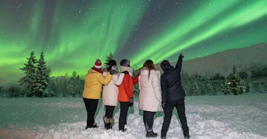 Tromsø: Aurora Safari Chase by big bus with Camp meal - Photo “wins”: why this tour includes guide shots and downloadable images