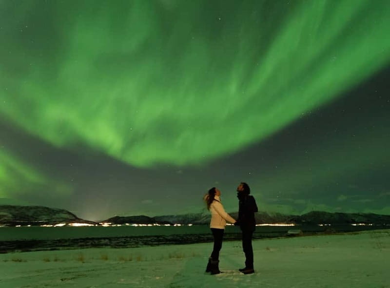 Tromsø: Aurora Safari Chase by big bus with Camp meal - The night flow in plain steps (5–7 hours, plus the seasonal rhythm)