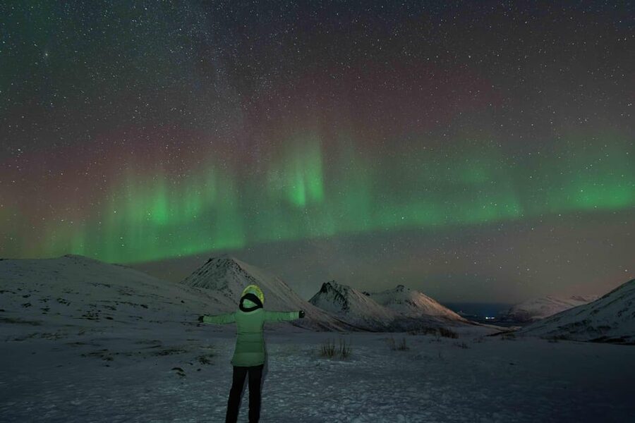 Tromsø: Aurora Tour with Photos, Campfire and Arctic Food - How the Aurora Waiting Feels (and Why the Guides Manage It Well)