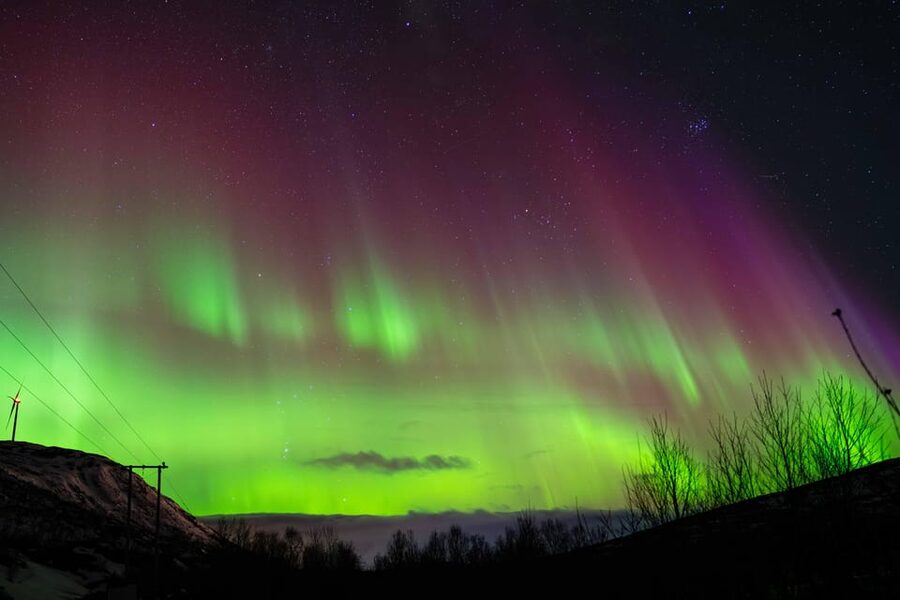 Tromsø: Aurora Tour with Photos, Campfire and Arctic Food - Price and Value: Is $304 Worth It