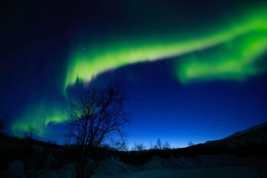 Tromsø Chinese Aurora Tour - Price and value: is $167 worth it?