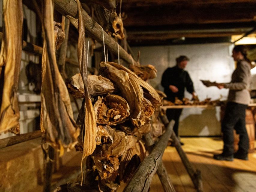 Tromso: Cod-Tasting Tour with Full Steam Museum Entry - FAQ