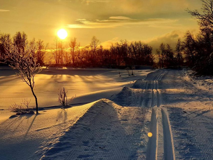Tromsø: Cross Country Guided Skiing Course - Key highlights worth getting excited about