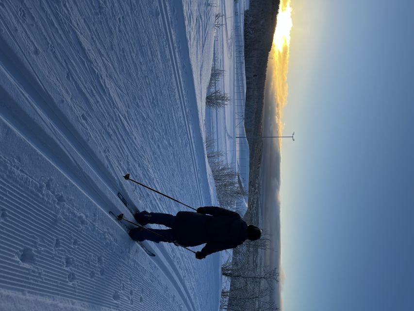 Tromsø: Cross Country Guided Skiing Course - First Steps in Langrenn on Tromsøya