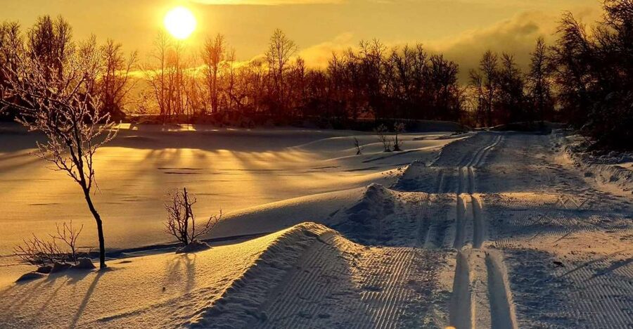 Tromsø: Cross Country Guided Skiing Course - The return on Tromsøya: blue-hour light, photos, and low-sun magic