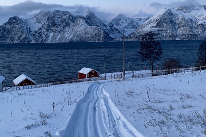 Tromsø Cross-Country Ski Adventure - Views by fjords, mountains, and forest (and why you should stop for photos)