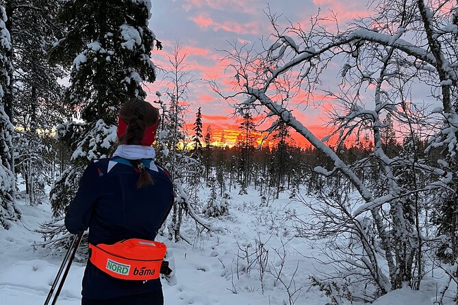 Tromsø Cross-Country Ski Adventure - Price: what $128.03 is really buying in Tromsø