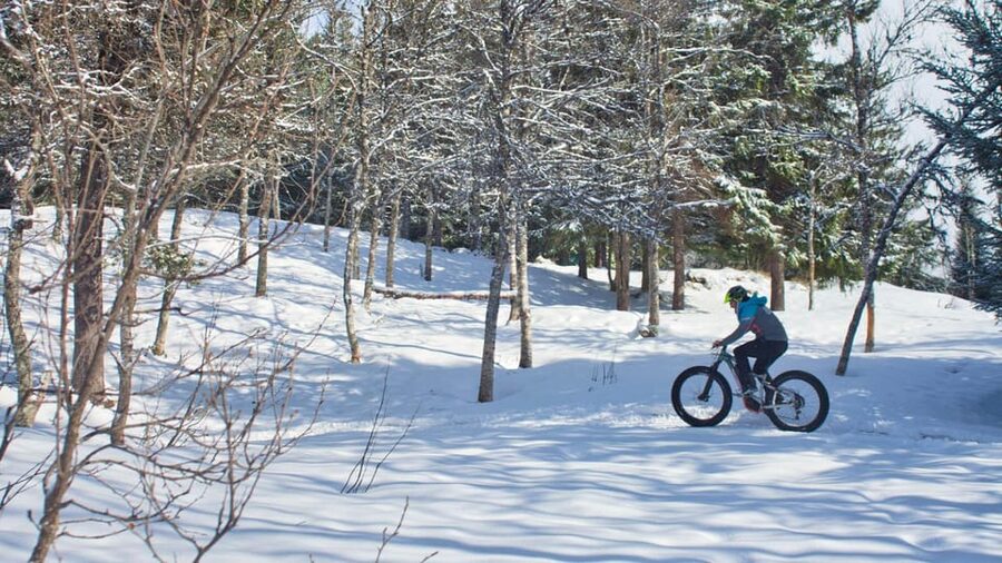 Tromsø: Electric fatbike trip on winter paths - Key highlights to know before you go