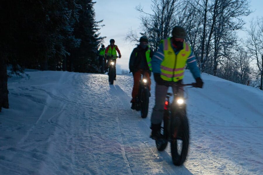 Tromsø: Electric fatbike trip on winter paths - Tromsø on the move: from city edges into Tromsømarka